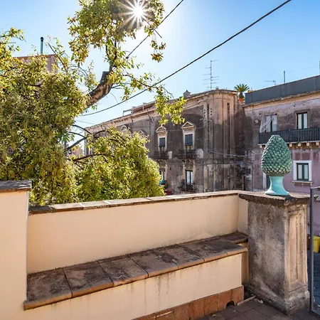 Vakantiehuis Grace's House